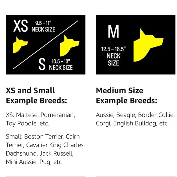 NEW IN BOX Fi Smart Dog Collar Pink Small - Picture 5 of 11